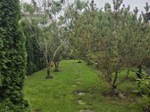 Išskirtinis 101 M² Butas Per Du Aukštus Su 4 - nuotraukos Nr. 26