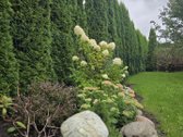 Išskirtinis 101 M² Butas Per Du Aukštus Su 4 - nuotraukos Nr. 27