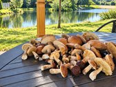 Parduodamas Išskirtinis Sklypas Galgiuose, - nuotraukos Nr. 3