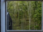 Ramybė, privatumas ir gamta – tai šių namų - nuotraukos Nr. 10