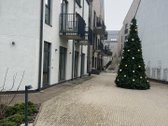 Išskirtinis Butas „renesanso“ Projekte Su - nuotraukos Nr. 15