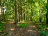 Parduodamas Erdvus 2 Kambarių Butas Žalumos - nuotraukos Nr. 6