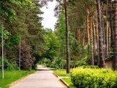 Artimoje Valakampių dalyje parduodamas 30 arų - nuotraukos Nr. 21