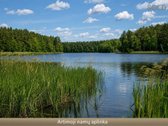 Parduodamas erdvus sklypas Vilniuje, - nuotraukos Nr. 4