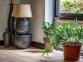 Darniai į gamtą įsiliejęs ir puikiai - nuotraukos Nr. 28