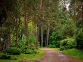 Darniai į gamtą įsiliejęs ir puikiai - nuotraukos Nr. 33