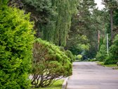 Darniai į gamtą įsiliejęs ir puikiai - nuotraukos Nr. 38
