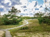 Vienoje gražiausių Lietuvos vietų, Unesco - nuotraukos Nr. 12