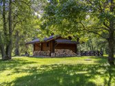 Tyliomis giriomis apgaubtoje Dzūkijoje, šalia - nuotraukos Nr. 27