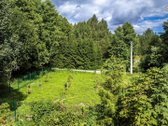 Tyliomis giriomis apgaubtoje Dzūkijoje, šalia - nuotraukos Nr. 34