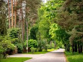 Pradėkite naują gyvenimą Valakampiuose, - nuotraukos Nr. 9