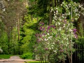 Pradėkite naują gyvenimą Valakampiuose, - nuotraukos Nr. 10