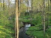 Gyventi ir poilsiauti Druskininkuose, reiškia - nuotraukos Nr. 30
