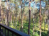 Gyventi ir poilsiauti Druskininkuose, reiškia - nuotraukos Nr. 37
