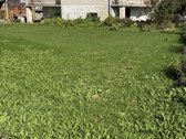 Parduodamas mūrinis namas ramioje Šeduvos - nuotraukos Nr. 5