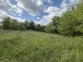 Parduodamas Erdvus Sklypas Zuikinėje, Kaune – - nuotraukos Nr. 2