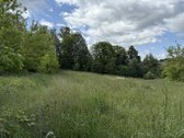 Parduodamas Erdvus Sklypas Zuikinėje, Kaune – - nuotraukos Nr. 3