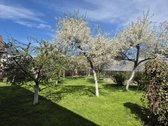 Autonominis namas Kretingos centre su saulės - nuotraukos Nr. 6