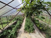 Autonominis namas Kretingos centre su saulės - nuotraukos Nr. 14