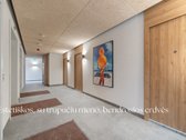 Naujas Projektas Mieste – Studijos Ne Tik - nuotraukos Nr. 12