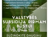 W - nuotraukos Nr. 15