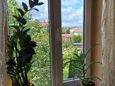 2 k. butas Rasų Seniūnijoje, Varšuvos G. 8, - nuotraukos Nr. 14