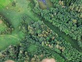 Parduodamas 2 Ha Žemės Sklypas Su Pakrante - nuotraukos Nr. 4