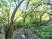 3 kambarių butas Šilutės rajone - nuotraukos Nr. 21
