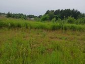 Parduodamas 22 arų žemės ūkio paskirties - nuotraukos Nr. 4