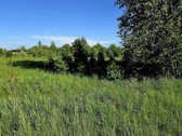 Parduodamas 67,29 A Sklypas Stragnų II K. – - nuotraukos Nr. 3