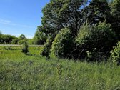 Parduodamas 67,29 A Sklypas Stragnų II K. – - nuotraukos Nr. 7