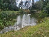 Parduodamas erdvus 81,62 arų sklypas Toliočių - nuotraukos Nr. 11