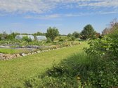 Parduodamas erdvus 81,62 arų sklypas Toliočių - nuotraukos Nr. 12