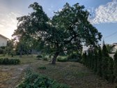 Parduodamas labai gražus žemės sklypas - nuotraukos Nr. 12