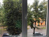 Centrinėje miesto dalyje, Vytauto 50 (tarp - nuotraukos Nr. 25