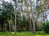 Šalia brandaus Valakampių miško įsikūręs - nuotraukos Nr. 26