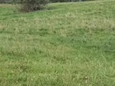 Sklypo unikalus Nr. 4400-2486-4106 , žemės - nuotraukos Nr. 3