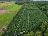 Parduodamas 1.9950 Ha Miškų Ūkio Sklypas - nuotraukos Nr. 2