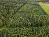 Parduodamas 1.9950 Ha Miškų Ūkio Sklypas - nuotraukos Nr. 3