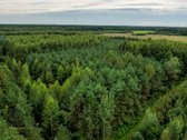 Parduodamas 1.9950 Ha Miškų Ūkio Sklypas - nuotraukos Nr. 5