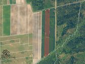 Parduodamas 1.9950 Ha Miškų Ūkio Sklypas - nuotraukos Nr. 6
