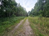 Parduodamas 1.9950 Ha Miškų Ūkio Sklypas - nuotraukos Nr. 13