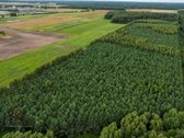 Parduodamas 1.9950 Ha Miškų Ūkio Sklypas - nuotraukos Nr. 18