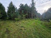 Parduodamas 1.9950 Ha Miškų Ūkio Sklypas - nuotraukos Nr. 19