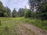 Parduodamas 1.9950 Ha Miškų Ūkio Sklypas - nuotraukos Nr. 20