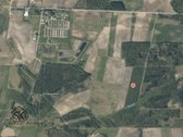 Parduodamas 1.9950 Ha Miškų Ūkio Sklypas - nuotraukos Nr. 21