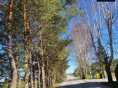 Namai, Kuriuos Dar Galite Pritaikyti Sau –6 - nuotraukos Nr. 15