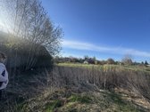 Parduodamas dviejų aukštų namas Daugėliškių k - nuotraukos Nr. 3