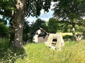 Parduodama vienkiemyje esanti sodyba su 60 - nuotraukos Nr. 8