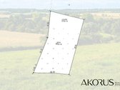 Verta Žinoti - nuotraukos Nr. 6